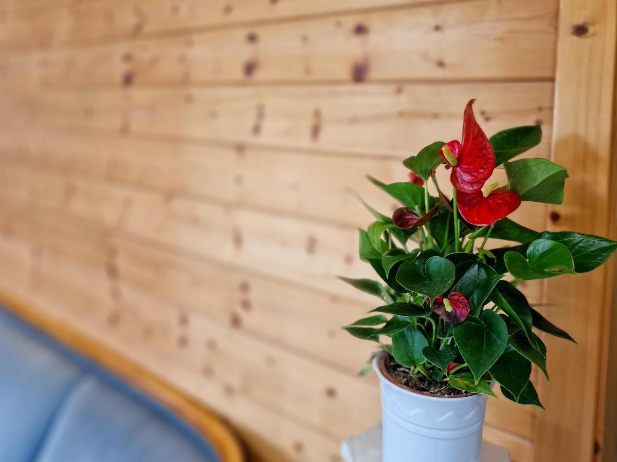 Ferien Vom Ich, Bayerischer Wald, Hotel & Restaurant Neukirchen  Extérieur photo