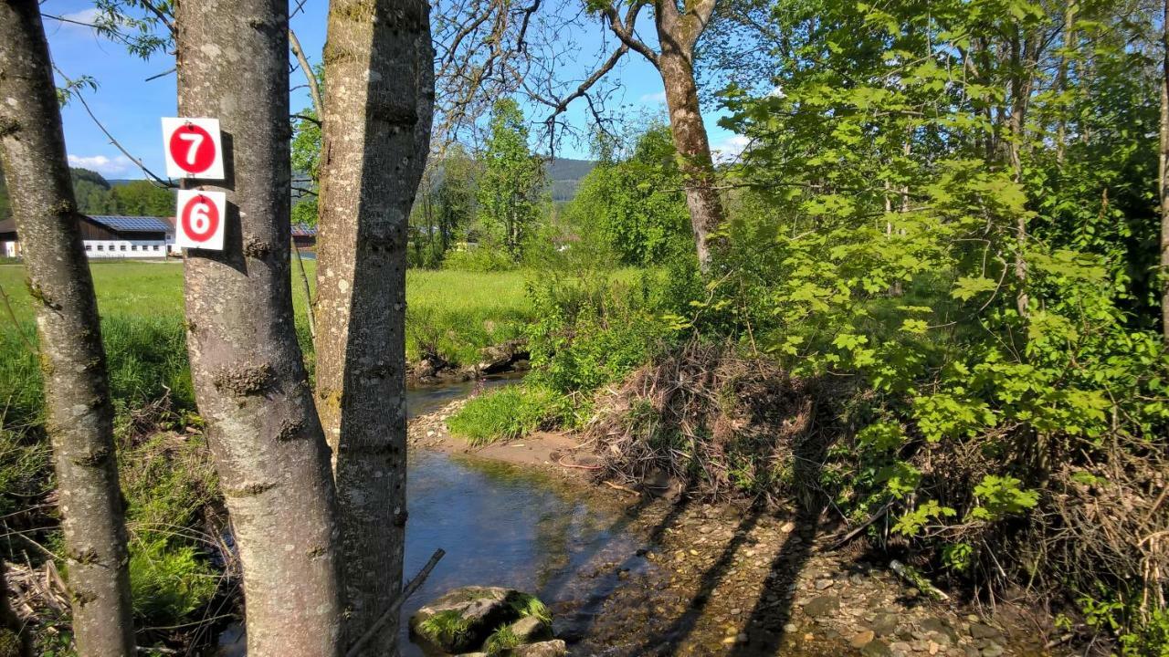 Ferien Vom Ich, Bayerischer Wald, Hotel & Restaurant Neukirchen  Extérieur photo