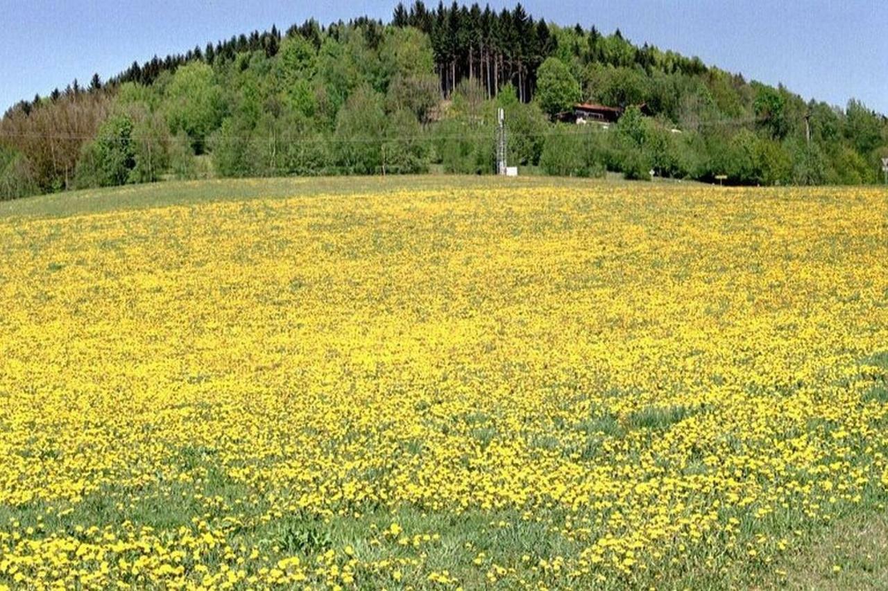 Ferien Vom Ich, Bayerischer Wald, Hotel & Restaurant Neukirchen  Extérieur photo