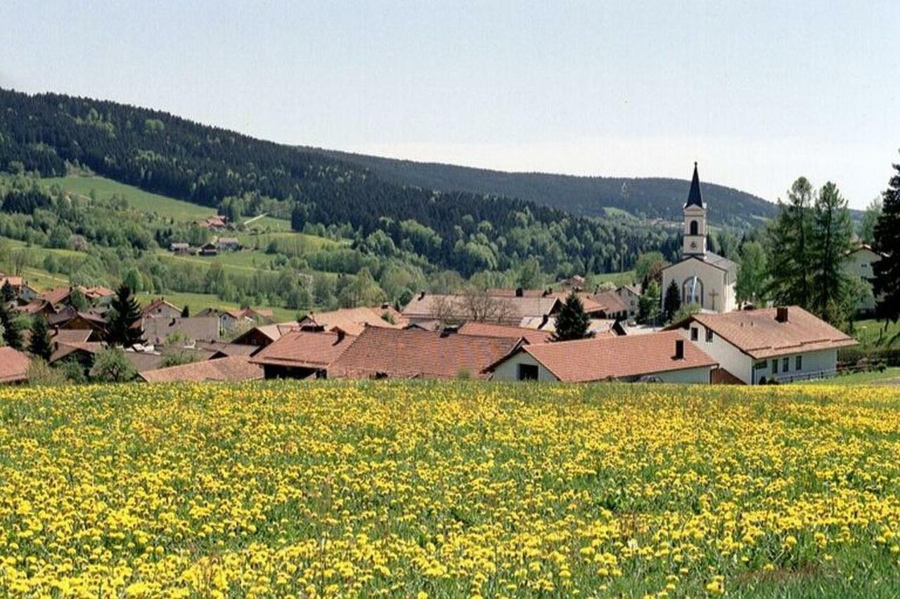 Ferien Vom Ich, Bayerischer Wald, Hotel & Restaurant Neukirchen  Extérieur photo