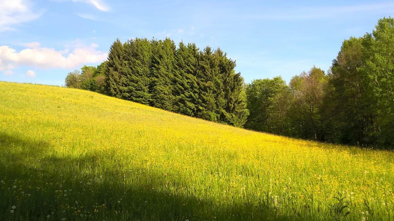 Ferien Vom Ich, Bayerischer Wald, Hotel & Restaurant Neukirchen  Extérieur photo