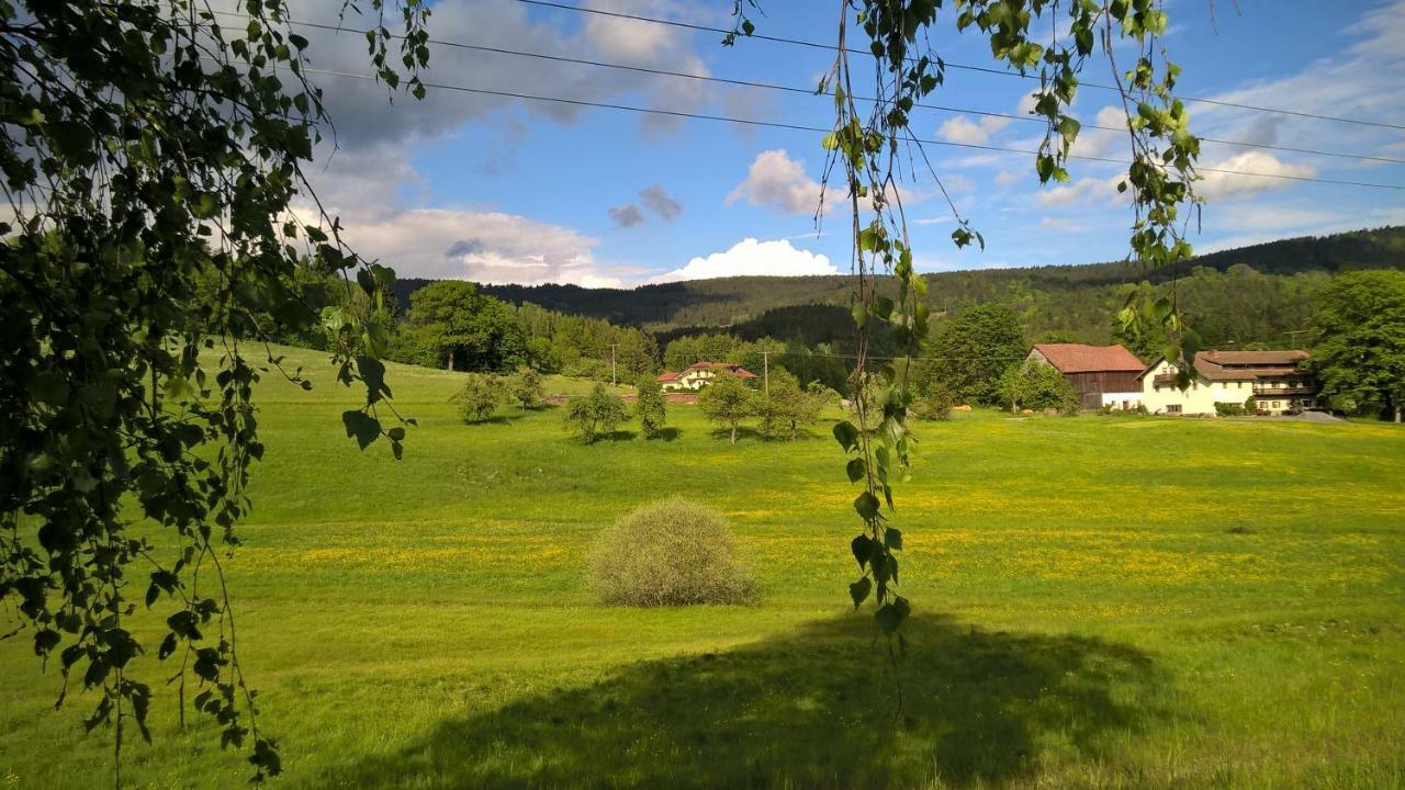 Ferien Vom Ich, Bayerischer Wald, Hotel & Restaurant Neukirchen  Extérieur photo