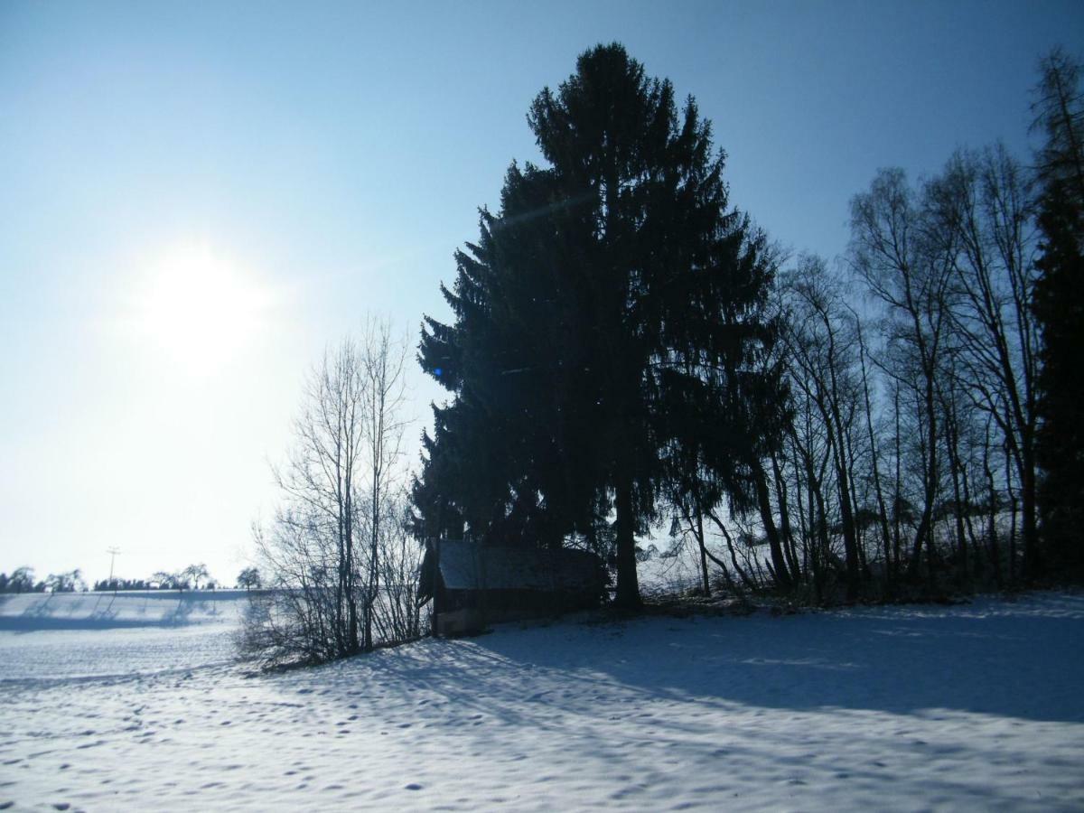Ferien Vom Ich, Bayerischer Wald, Hotel & Restaurant Neukirchen  Extérieur photo